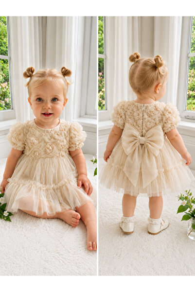 İray Baby Girl Powder Pink Rose Detailed Tulle Dress – Back Bow Fluffy Prince...