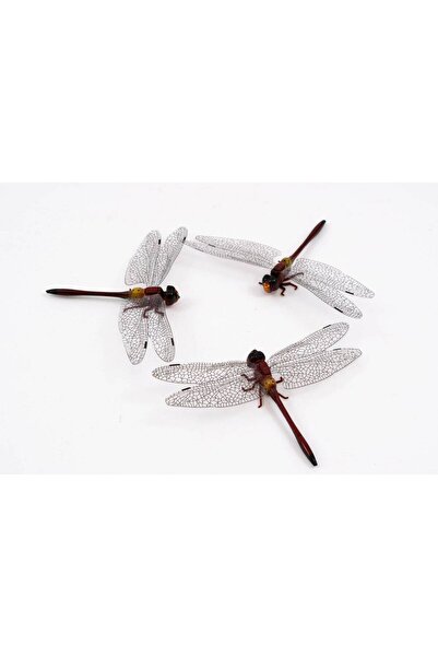 OEM Magnet Pentru Frigider Libelula Maro 24/Set