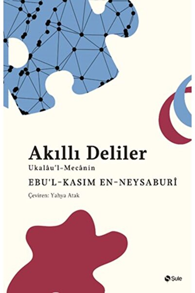 Şule Yayınları Akıllı Deliler Kitabı