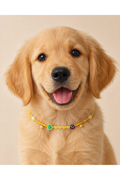 Vina Petshop Vina Beads İsme Özel Kedi Köpek Kolyesi - İsimli Tasma