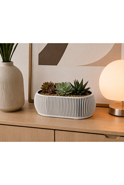 Japandi Dekoratif Saksı Modern Minimal Bonsai Saksısı Sukulent ve Kaktüs Saksısı - Büyük boy