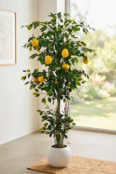 Cihan Çiçekçilik 10 Limonlu Yapay Limon Ağacı 180 cm Küre Saksılı