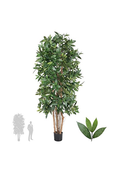 Roberto Rossi Dracaena artificiala surculosa H210 cm