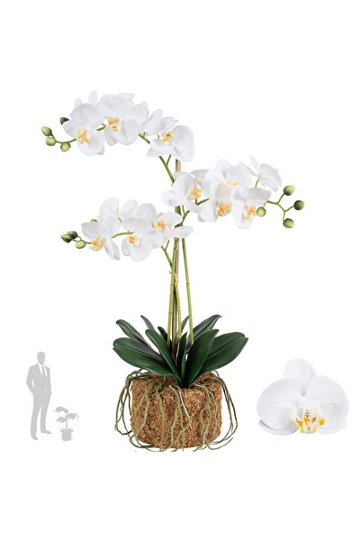 Roberto Rossi Orhidee artificiala alba cu aspect H64 cm cu 3 tulpini