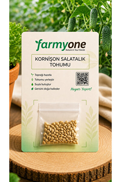 farmyone Yerli Kornişon Salatalık Tohumu 100 Adet