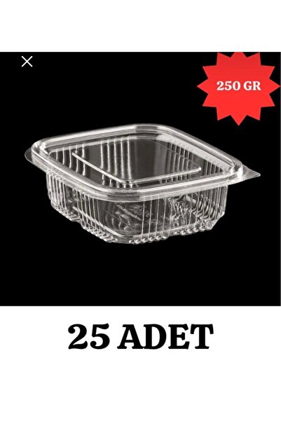ÇELİKER Ashura Dessert Bowl Plastic Leak-Proof Container 250 Gr 25 Pieces