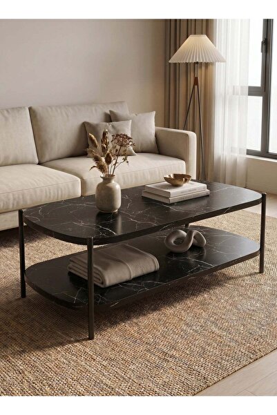 Taimi 2-Tier Wooden Coffee Table with Metal Legs, Modern Center Table, Black,...
