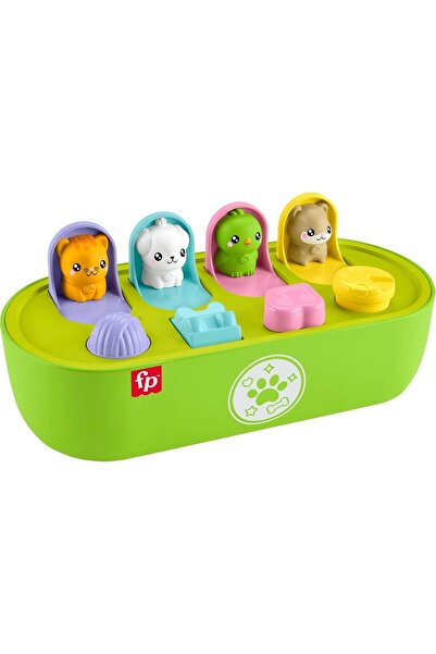 FISHER PRICE FP Sürpriz Mini Figürler Aktivite Oyuncağı JDL66