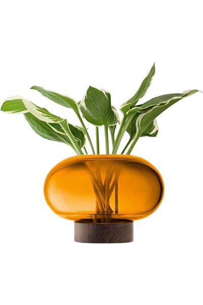 LSA Oblate Amber Glass Vase with Walnut Wood Base – Modern Wide Decorative Fl...