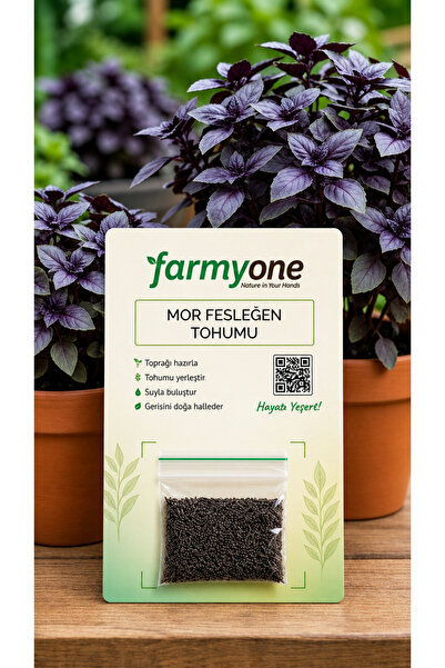 farmyone Mor Fesleğen Tohumu 200 Adet