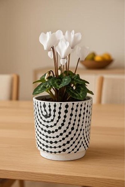 Generic Ceramic planting pot decorated with a zigzag dot pattern