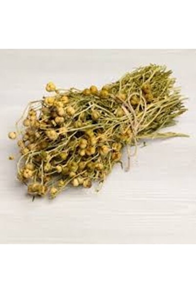 Generic Brand Demet Üzerli̇k