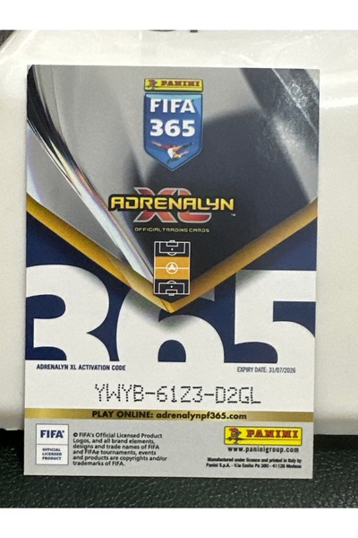 Panini معجبي إنزو فرنانديز ALX