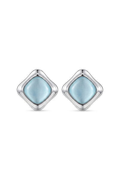 Charmist Steel Soraya Earrings