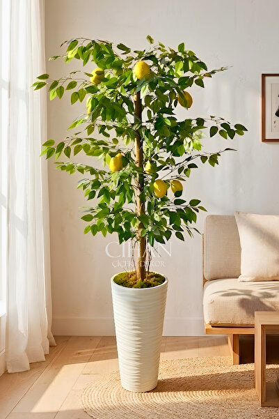 Cihan Çiçekçilik Premium Yapay Limon Ağacı 170 cm - 8 Limonlu 56X30X20 Kumsal...
