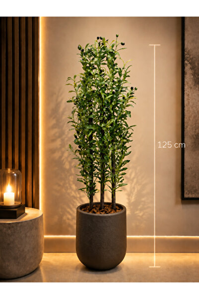 Rafef 125 cm Tall Olive Tree with Stand