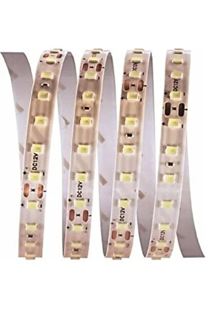 Cata CT-4540-3200K 12 Volt 12 Watt 120 Ledli Gün Işığı (3200K) Şerit Led [5 M...