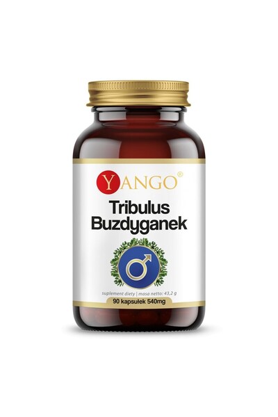 YANGO BI5654