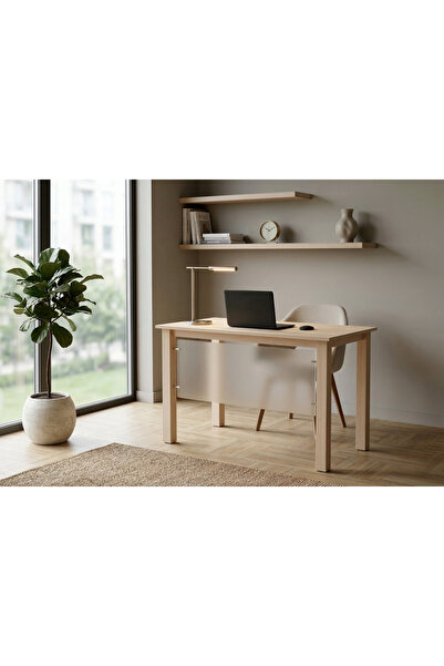 ÇALIŞKAN OFİS BOXY ÇALIŞMA MASASI
