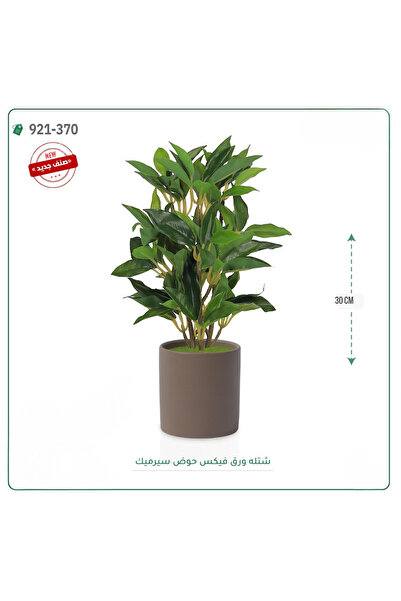 OEMS Artificial Ficus Leaf Plant in Ceramic Pot { Height 30 cm }