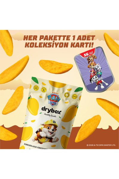 DRYBOX Dondurularak Kurutulmuş Çıtır Mango Dilimleri 16g %100 Doğal Çıtır Sağ...