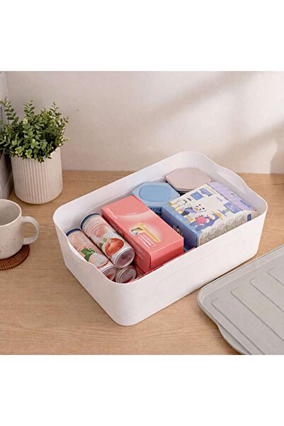PAN HOME Alaine Storage Box With Lid 45x30.7x14.7cm - White/grey