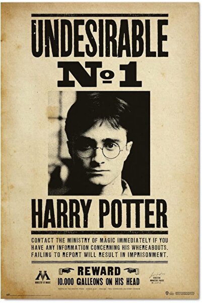 ESSESORIES Harry Potter Music Movie Poster Wall Art Room Decor Self Adhesive