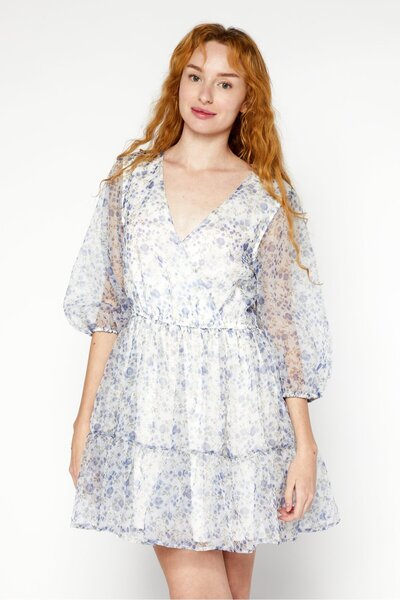 NA-KD Women Floral Print Organza Mini Dress, Blue Combo