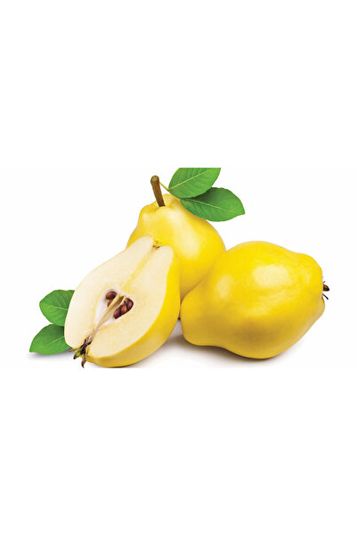 Hamile Marketim taze ayva (1 kg) çıtır