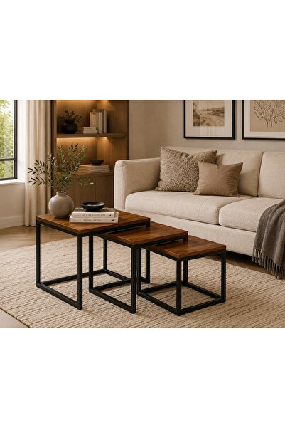 N.zone Modern Design 3-Piece Nesting Table Set – Wooden Top and Sturdy Metal ...