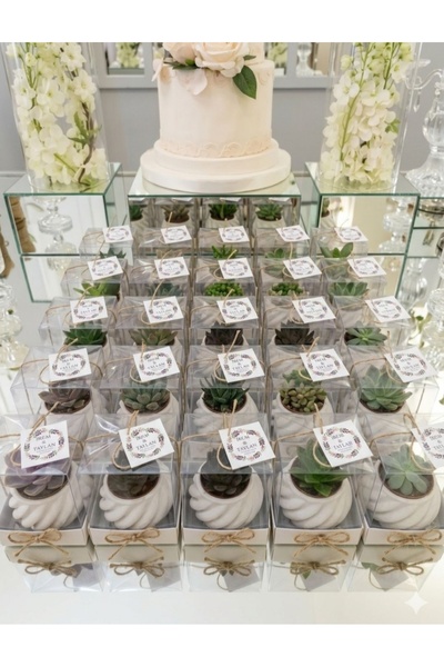 FRİDA BOTANİK nikah nişan düğün hediyelik 10 adet asetatlı kutuda sukulent