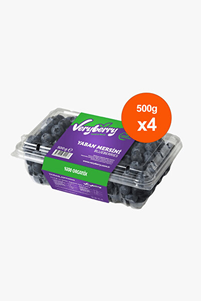 Yaban Mersini 2 kg (Doğal ve İyi Tarım Sertifikalı)