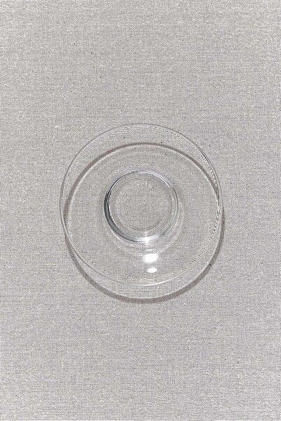 Paşabahçe 6-Piece Linka Tea Plate Set 12 Cm, Tea Plate