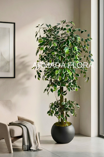 Armada Flora Premium Yapay Benjamin Starlight Ağacı 175 cm (27*33 Küre Saksılı)