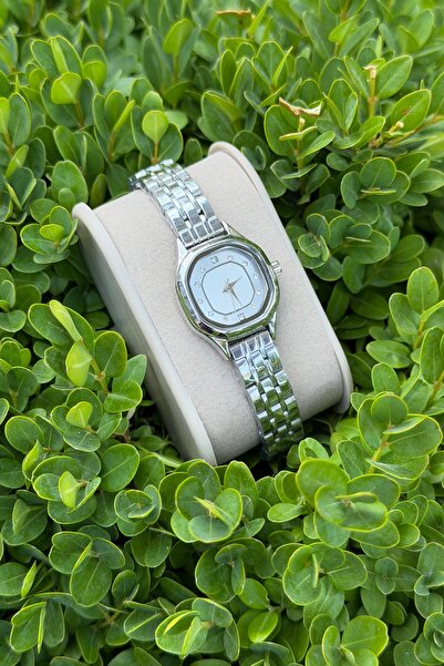 DARKBEAR Women's Luxury Modern Watch