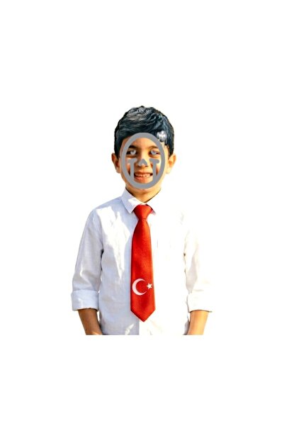 Vatan Flag Tie Star and Crescent Tie