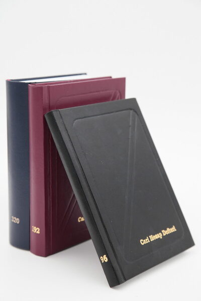 Dilman دفتر حسابات كاري عمودي 12×17 192 صفحة.