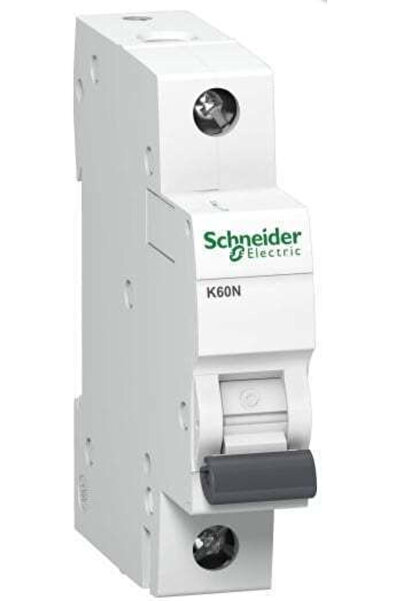 Schneider Electric Disjunctor automat 6A unipolar AC A9K01106