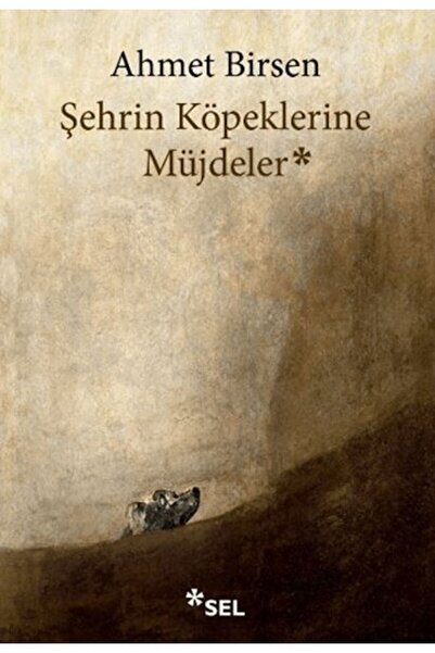 Generic Brand Şehrin Köpeklerine Müjdeler
