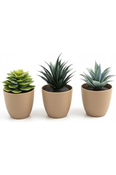 Yıldızan pazaralanı store Üçlü Mini Yapay Sukulent Seti – 8 cm Saksı, Dekorat...