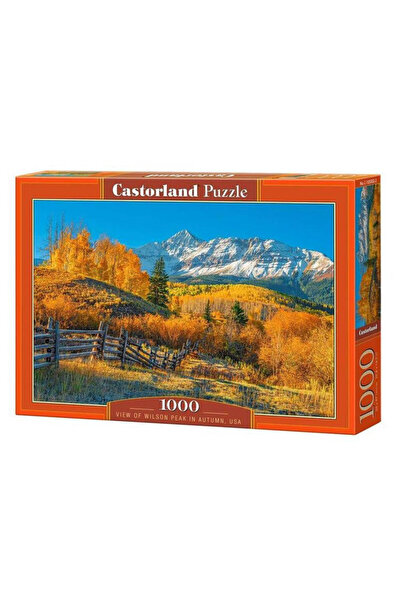 Castorland Puzzle 1000 piese - Vedere din Wilson, SUA