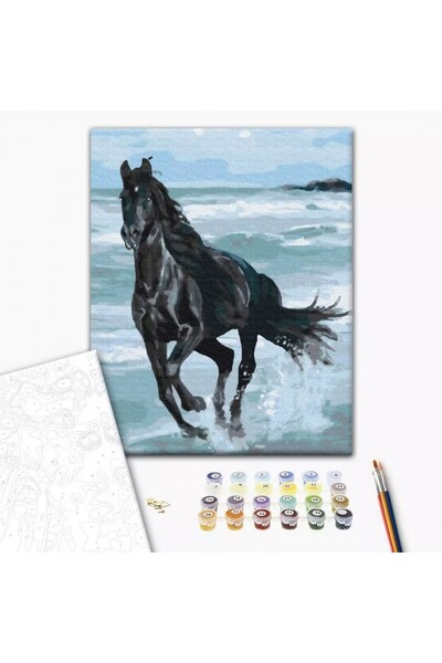 MC Micostore Set Pictura pe numere 40x50cm, Brushme - Calul alearga in mare -...