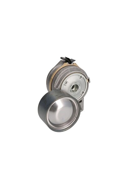 DAYCO Intinzator Curea Accesorii Mercedes O 403 Tourismo (o 350) Touro (o 500...