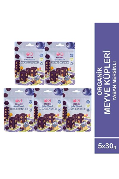 OG natural 5'li Organik Yaban Mersinli Meyve Küpleri (5 x 30 Gr)