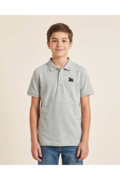 REDTAG Senior Boys Grey Melange Embroidered Polo T-Shirt