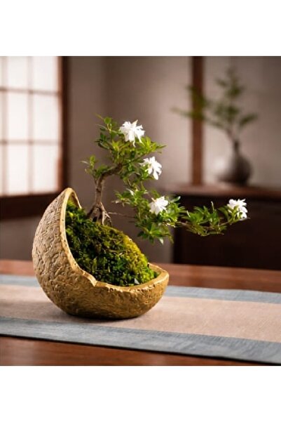 Yaratıcı sanatlar atölyesi Bonsai Saksısı Taş Dokulu Hilal Tasarım Saksı Vazo...