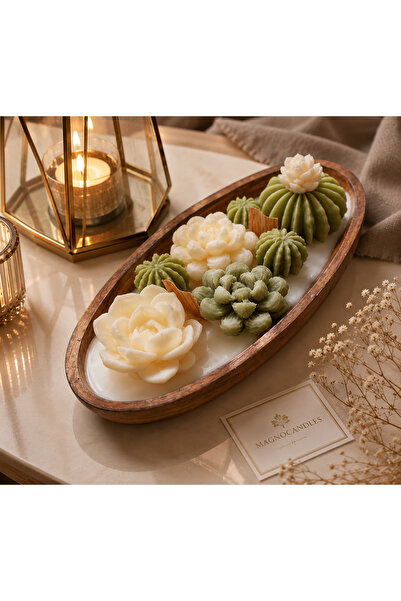 magnocandles Saksıda Kaktüs Sukulent Mum 8’li / Hediyelik, Dekoratif