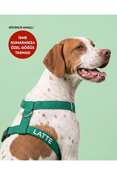 LUSİ-DOOG Güvenlik Amaçlı Numaralı İsimli Köpek Göğüs Tasması Kişiye Özel Göğ...