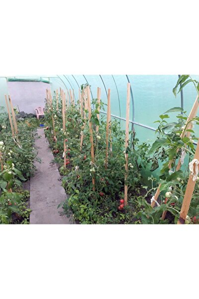 NO BRAND Tunel foliat mare de grădină, seră, cort pentru legume, rezistent, 2x3m