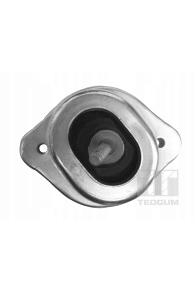 TEDGUM Suport motor 00088709